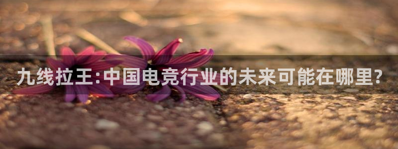 先锋娱乐公司