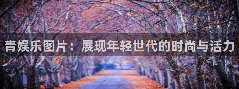 先锋娱乐公司