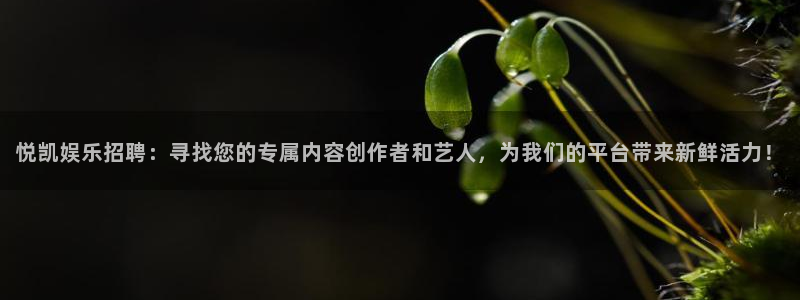 先锋娱乐平台